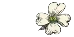 Dogwood Cremations LLC